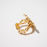 The Golden Plaque Ring