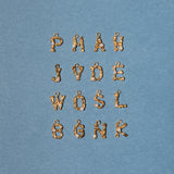 The Letter Pendant Charm Necklace - 1 Pendant