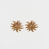 The Sun Earrings